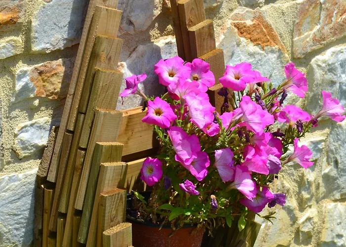 Evmorfes Villa Polygyros